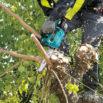 MAKITA DUC254SF MOTOSIERRA A BATERIA LITIO-ION 18V 10" BL XPT + 1 BAT.3AH + CARGADOR DC18SD - Image 2